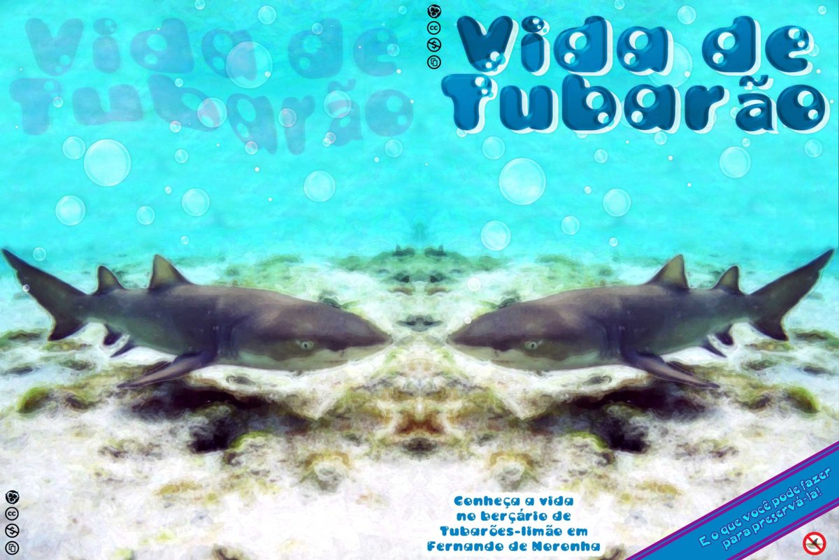 Vida de Tubarão
